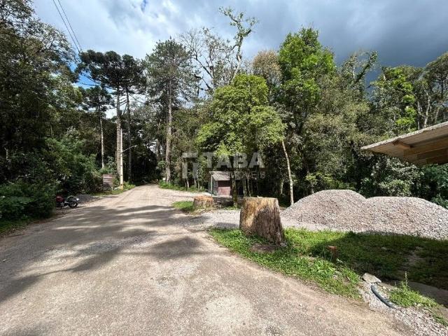 Sítio e chácara venda em Piraquara, Região Geográfica Intermediária de Curitiba