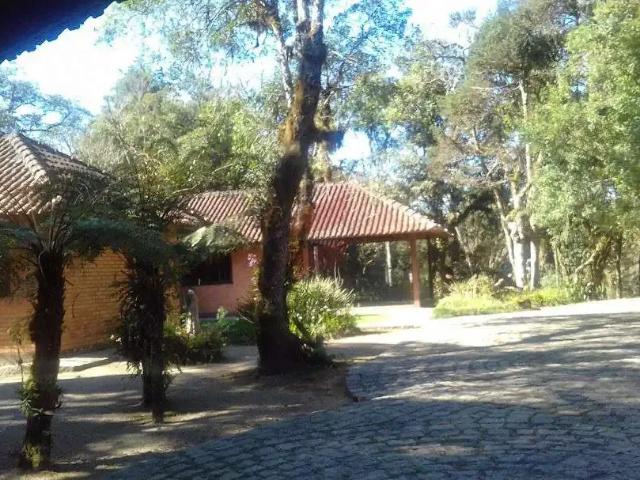 Sítio e chácara venda em Região Geográfica Imediata de Curitiba, Região Metropolitana de Curitiba