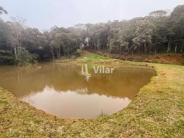 Sítio e chácara venda em Região Geográfica Imediata de Curitiba, Região Metropolitana de Curitiba
