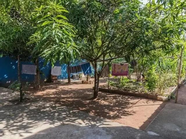 Sítio e chácara venda em Região Imediata de São Carlos, Região Metropolitana de Piracicaba