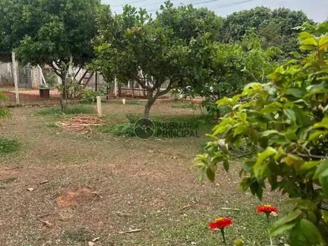 Sítio e chácara venda em Região Imediata de Bauru, Piratininga