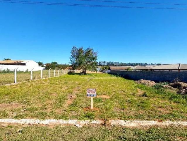 Sítio e chácara venda em Piratininga