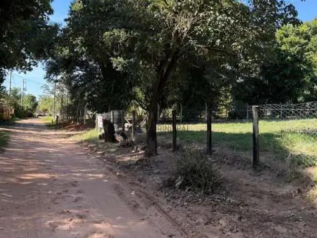 Sítio e chácara venda em Região Imediata de Bauru, Piratininga