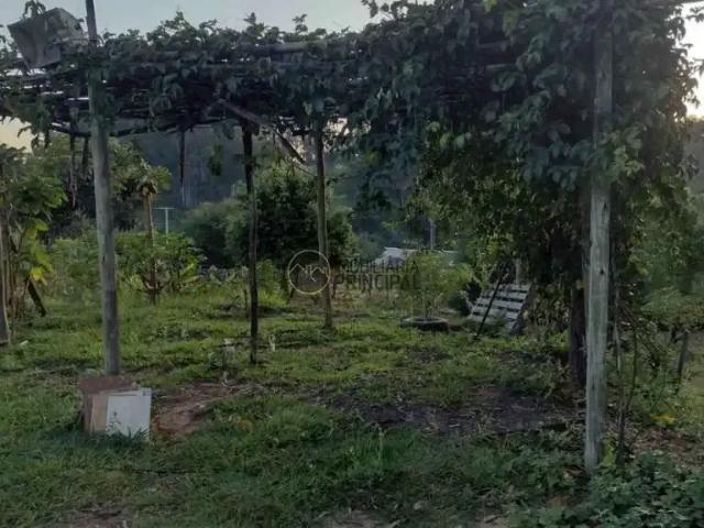 Sítio e chácara venda em Região Imediata de Bauru, Piratininga