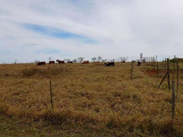 Sítio e chácara venda em Região Imediata de Bauru, Piratininga