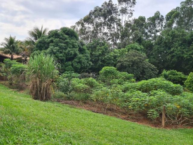 Sítio e chácara venda em Piratininga, Região Geográfica Intermediária de Bauru