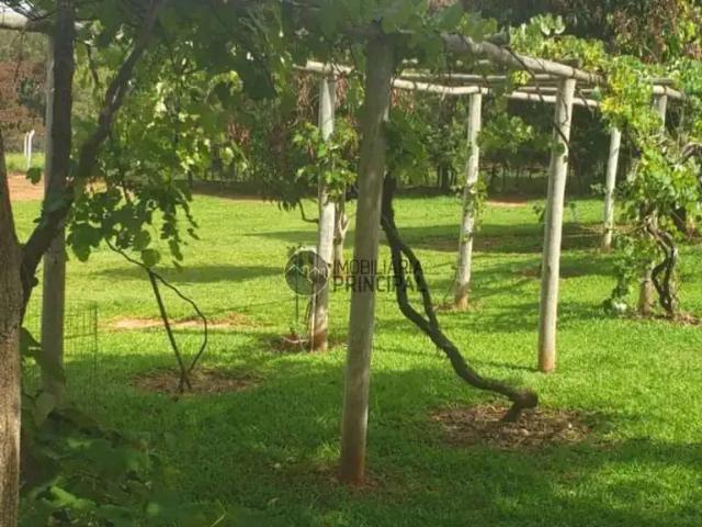 Sítio e chácara venda em Piratininga, Região Geográfica Intermediária de Bauru