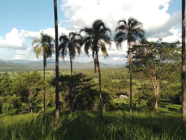 Sítio e chácara venda em Região Geográfica Imediata de Anápolis, Região Integrada de Desenvolvimento do Distrito Federal e Entorno