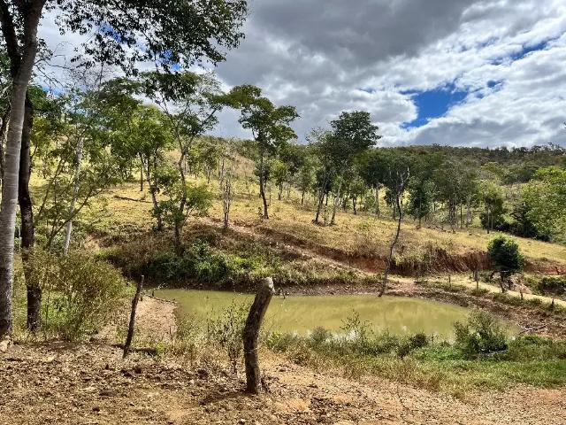 Sítio e chácara venda em Região Geográfica Imediata de Anápolis, Região Integrada de Desenvolvimento do Distrito Federal e Entorno