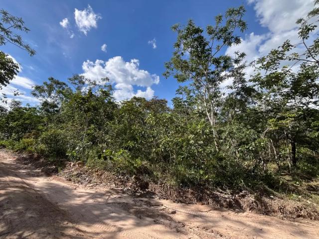 Sítio e chácara venda em Região Geográfica Imediata de Anápolis, Região Integrada de Desenvolvimento do Distrito Federal e Entorno