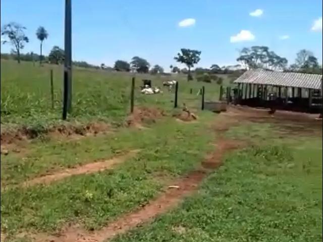 Sítio e chácara venda em Região Geográfica Imediata de Anápolis, Região Integrada de Desenvolvimento do Distrito Federal e Entorno