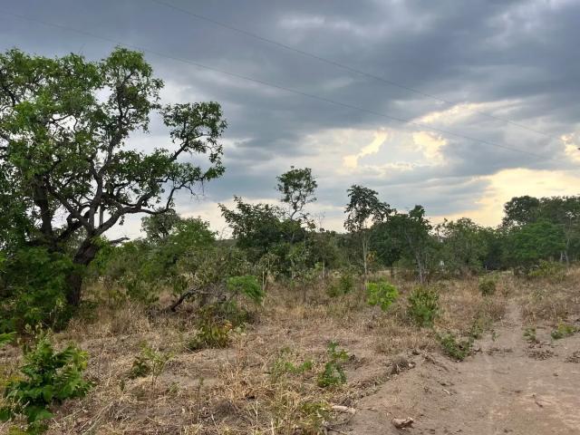 Sítio e chácara venda em Região Geográfica Imediata de Anápolis, Região Integrada de Desenvolvimento do Distrito Federal e Entorno