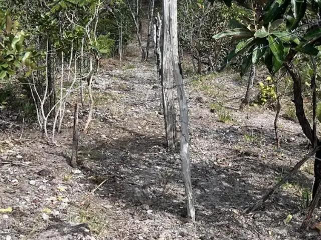 Sítio e chácara venda em Região Geográfica Imediata de Anápolis, Região Integrada de Desenvolvimento do Distrito Federal e Entorno
