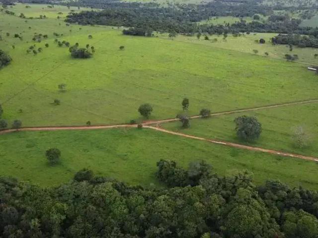 Sítio e chácara venda em Região Geográfica Imediata de Anápolis, Região Integrada de Desenvolvimento do Distrito Federal e Entorno
