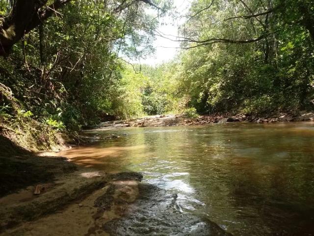 Sítio e chácara venda em Região Geográfica Imediata de Anápolis, Região Integrada de Desenvolvimento do Distrito Federal e Entorno
