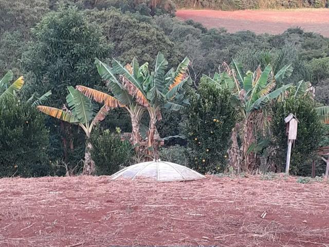 Sítio e chácara venda em Região Geográfica Imediata de Pitanga, Pitanga