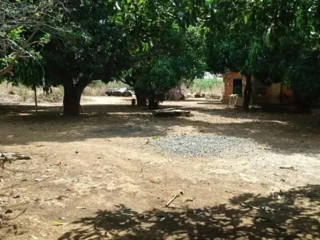 Sítio e chácara venda em Região Geográfica Imediata do Distrito Federal, Região Integrada de Desenvolvimento do Distrito Federal e Entorno