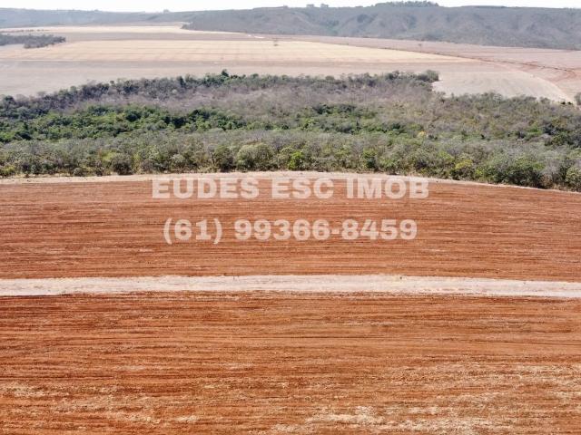 Sítio e chácara venda em Região Geográfica Imediata de Águas Lindas de Goiás, Região Integrada de Desenvolvimento do Distrito Federal e Entorno