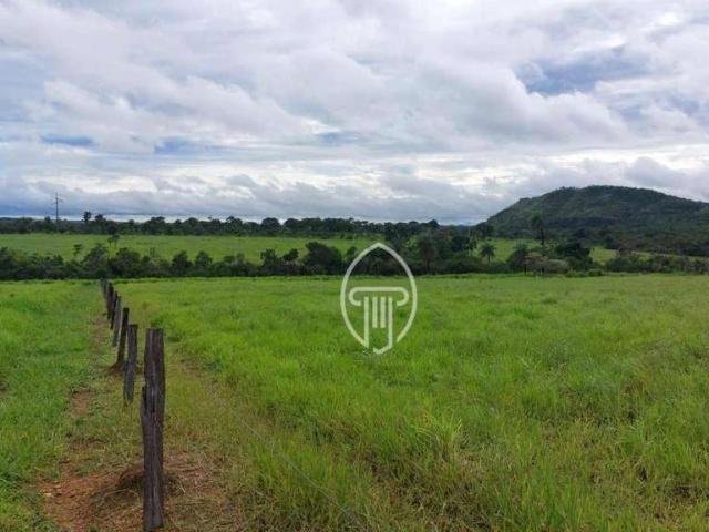 Sítio e chácara venda em Planaltina, Região Geográfica Intermediária de Luziânia-Águas Lindas de Goiás