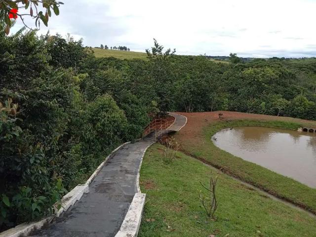 Sítio e chácara venda em Região Geográfica Imediata de Porto Alegre, Região Metropolitana de Porto Alegre