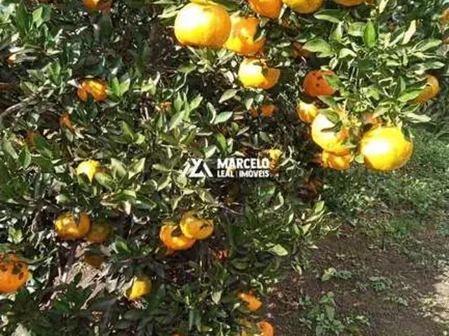 Sítio e chácara venda em Região Geográfica Imediata de Vitória da Conquista, Planalto