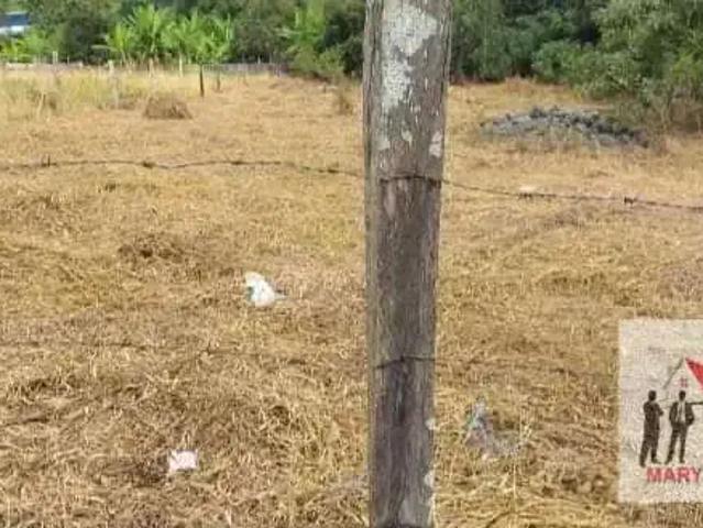 Sítio e chácara venda em Região Geográfica Imediata de Ipatinga, Região Metropolitana do Vale do Aço