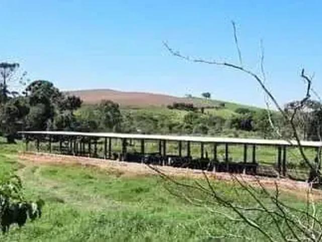 Sítio e chácara venda em Região Geográfica Imediata de Ipatinga, Região Metropolitana do Vale do Aço