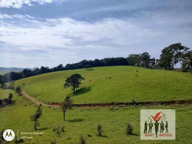Sítio e chácara venda em Região Geográfica Imediata de Ipatinga, Região Metropolitana do Vale do Aço