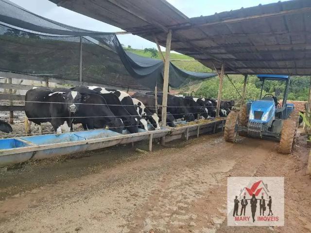 Sítio e chácara venda em Região Geográfica Imediata de Ipatinga, Região Metropolitana do Vale do Aço