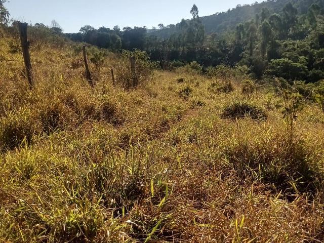 Sítio e chácara venda em Poços de Caldas, Região Geográfica Intermediária de Pouso Alegre