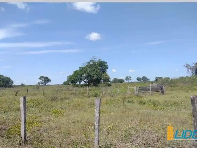 Sítio e chácara venda em Região Geográfica Imediata de Cuiabá, Poconé
