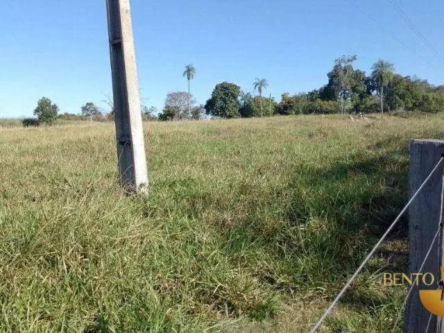 Sítio e chácara venda em Região Geográfica Imediata de Cuiabá, Poconé