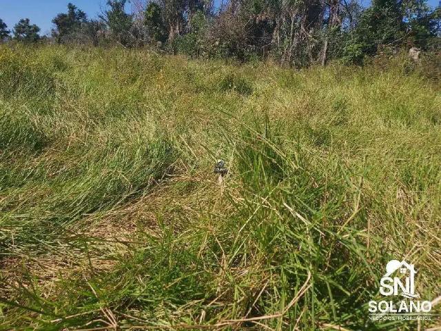Sítio e chácara venda em Região Geográfica Imediata de Cuiabá, Poconé