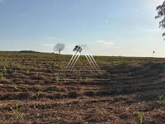 Sítio e chácara venda em Região Imediata de São José do Rio Preto, Região Metropolitana de São José do Rio Preto