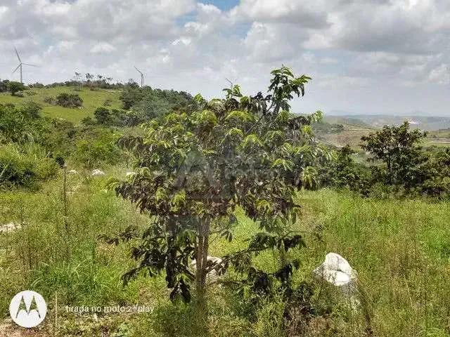 Sítio e chácara venda em Região Geográfica Imediata de Vitória de Santo Antão, Pombos