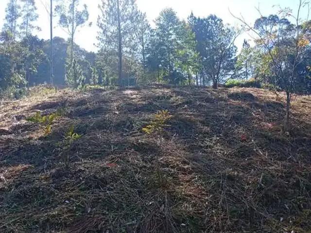 Sítio e chácara venda em Região Geográfica Imediata de Blumenau, Pomerode