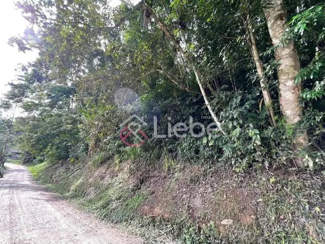 Sítio e chácara venda em Região Geográfica Imediata de Blumenau, Pomerode