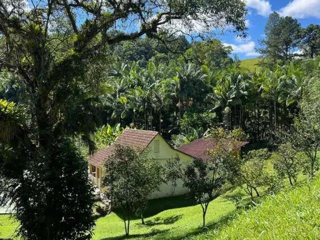 Sítio e chácara venda em Região Geográfica Imediata de Blumenau, Pomerode
