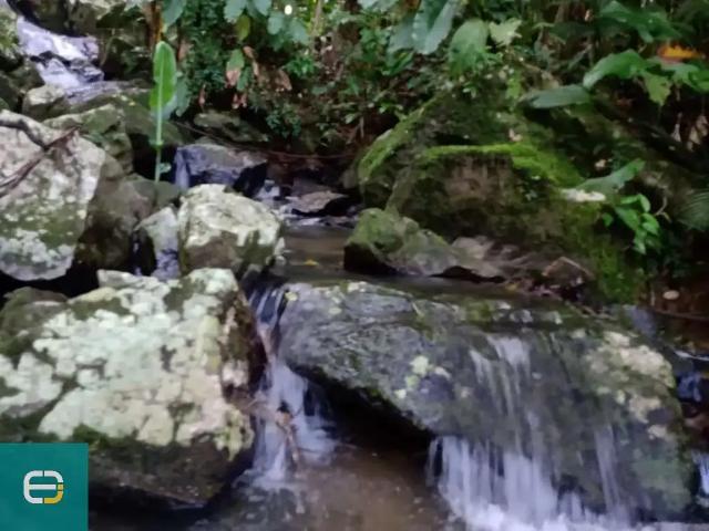 Sítio e chácara venda em Região Geográfica Imediata de Blumenau, Pomerode