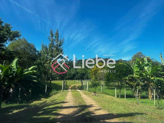 Sítio e chácara venda em Região Geográfica Imediata de Blumenau, Pomerode