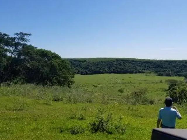 Sítio e chácara venda em Região Imediata de Marília, Pompéia