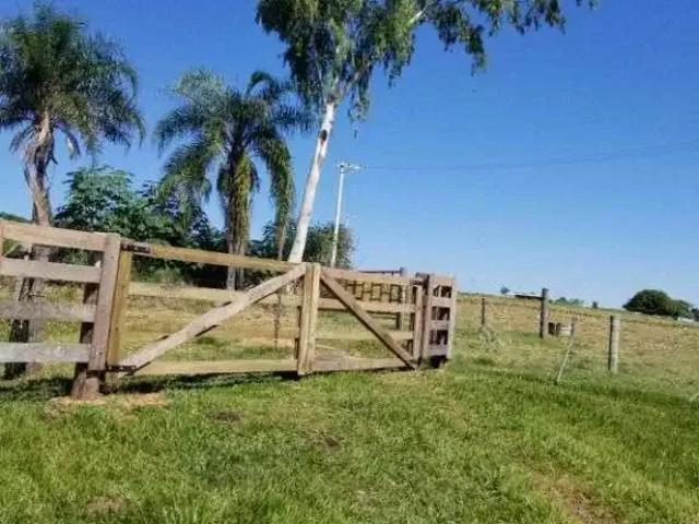 Sítio e chácara venda em Região Imediata de Marília, Pompéia