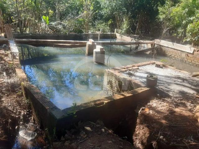 Sítio e chácara venda em Cará-Cará, Ponta Grossa