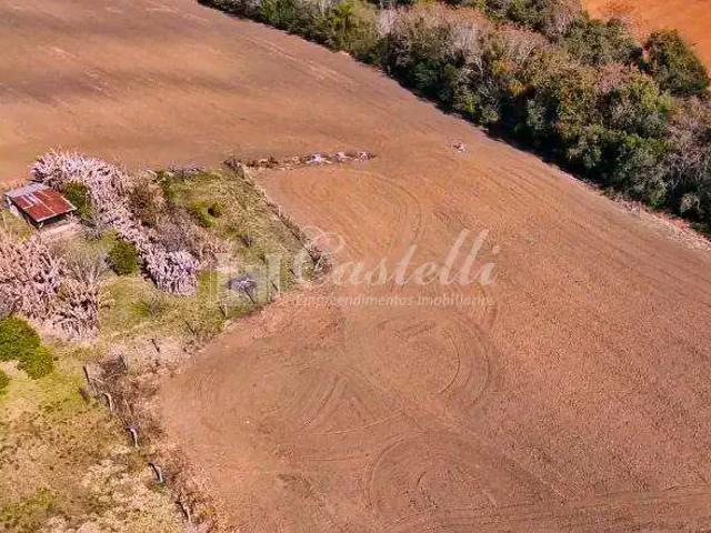Sítio e chácara venda em Região Geográfica Imediata de Ponta Grossa, Ponta Grossa