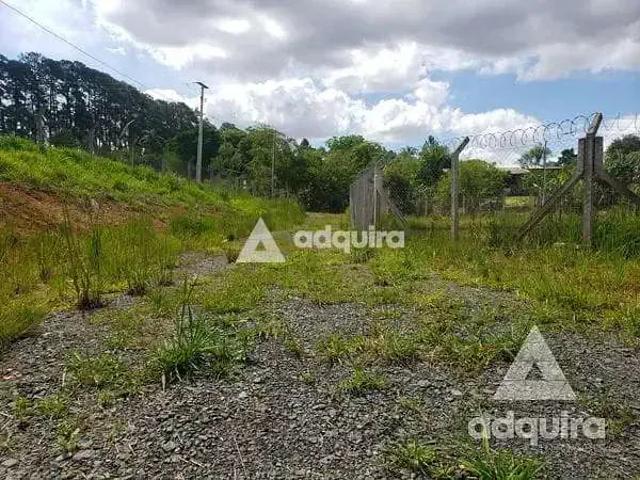 Sítio e chácara venda em Cará-Cará, Ponta Grossa