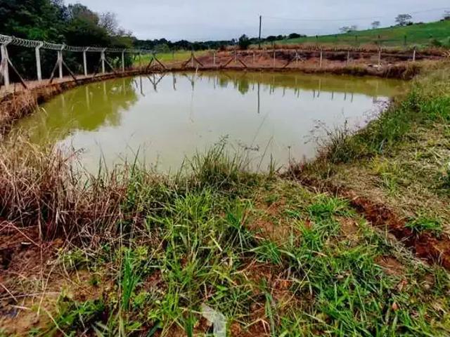 Sítio e chácara venda em Região Geográfica Imediata de Ponta Grossa, Ponta Grossa