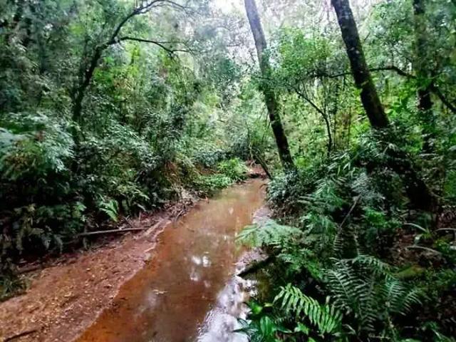 Sítio e chácara venda em Região Geográfica Imediata de Ponta Grossa, Ponta Grossa