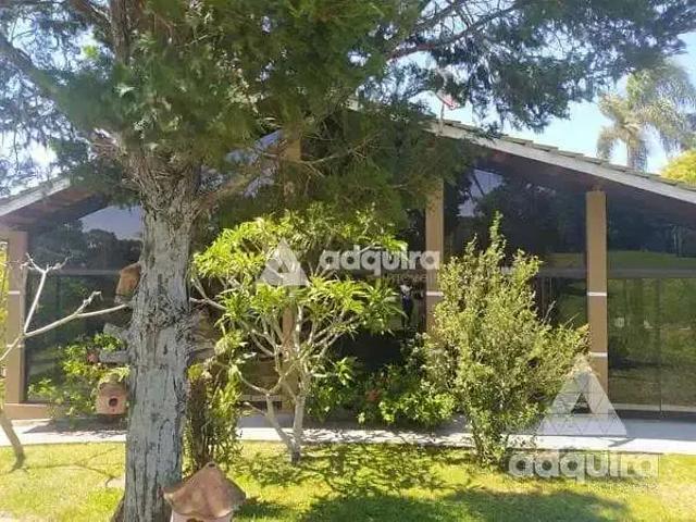 Sítio e chácara venda em Região Geográfica Imediata de Ponta Grossa, Ponta Grossa
