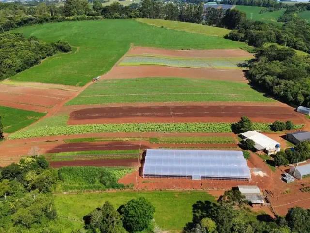Sítio e chácara venda em Ponta Grossa, Região Geográfica Intermediária de Ponta Grossa