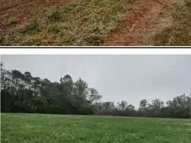 Sítio e chácara venda em Região Geográfica Imediata de Ponta Grossa, Ponta Grossa